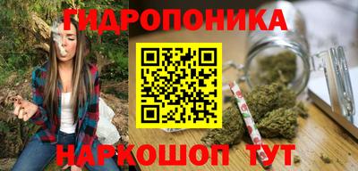 шишки Гагарин