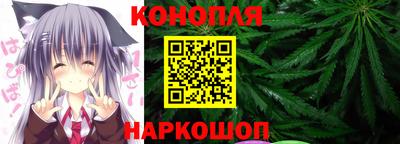 шишки Гагарин