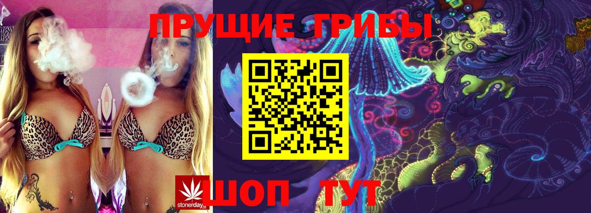 Псилоцибиновые грибы прущие грибы Добрянка