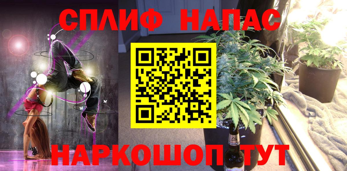 Конопля сатива Добрянка